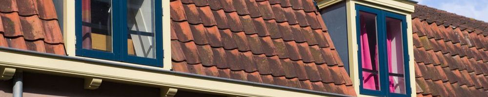 Dakrenovatie Eibergen
